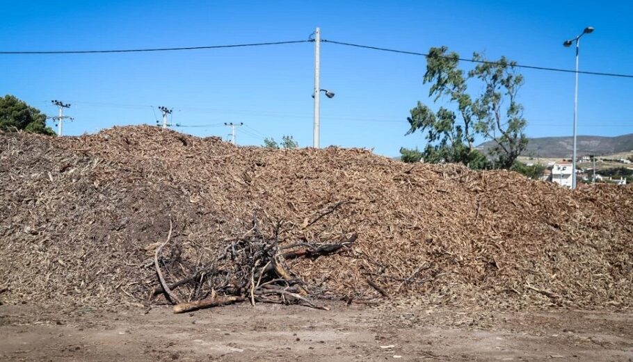 Δηλώσεις καθαρισμού οικοπέδων