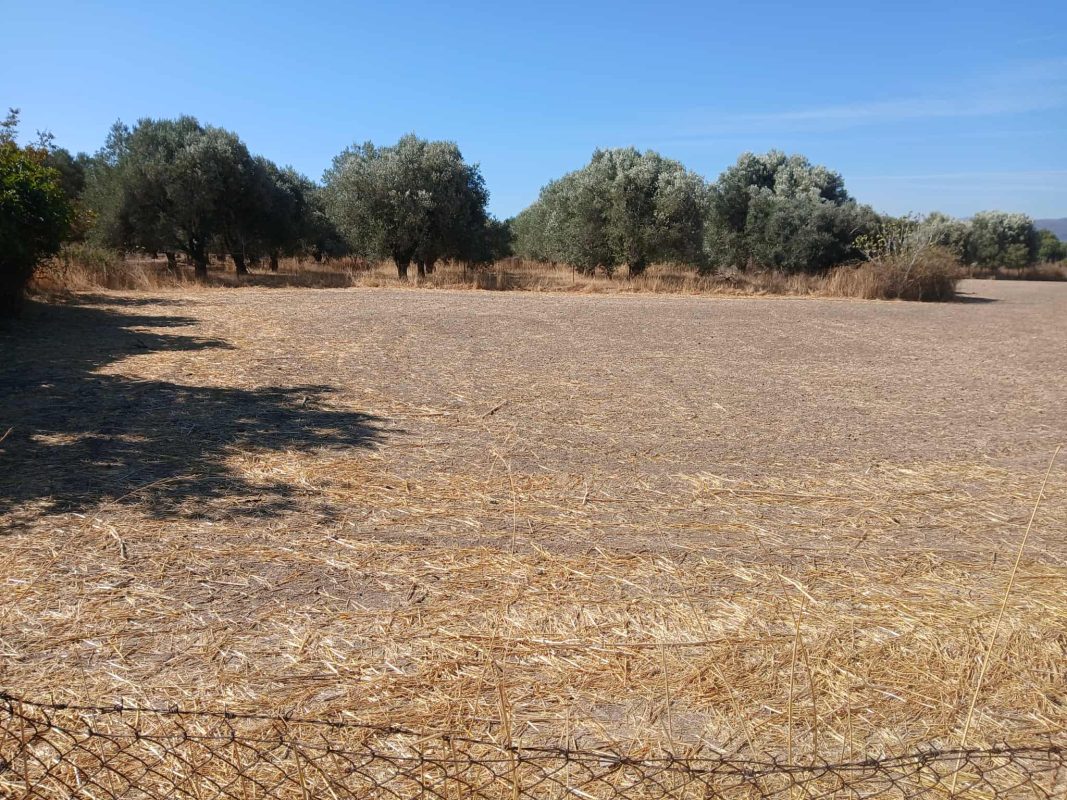 Καλλονή 811 07