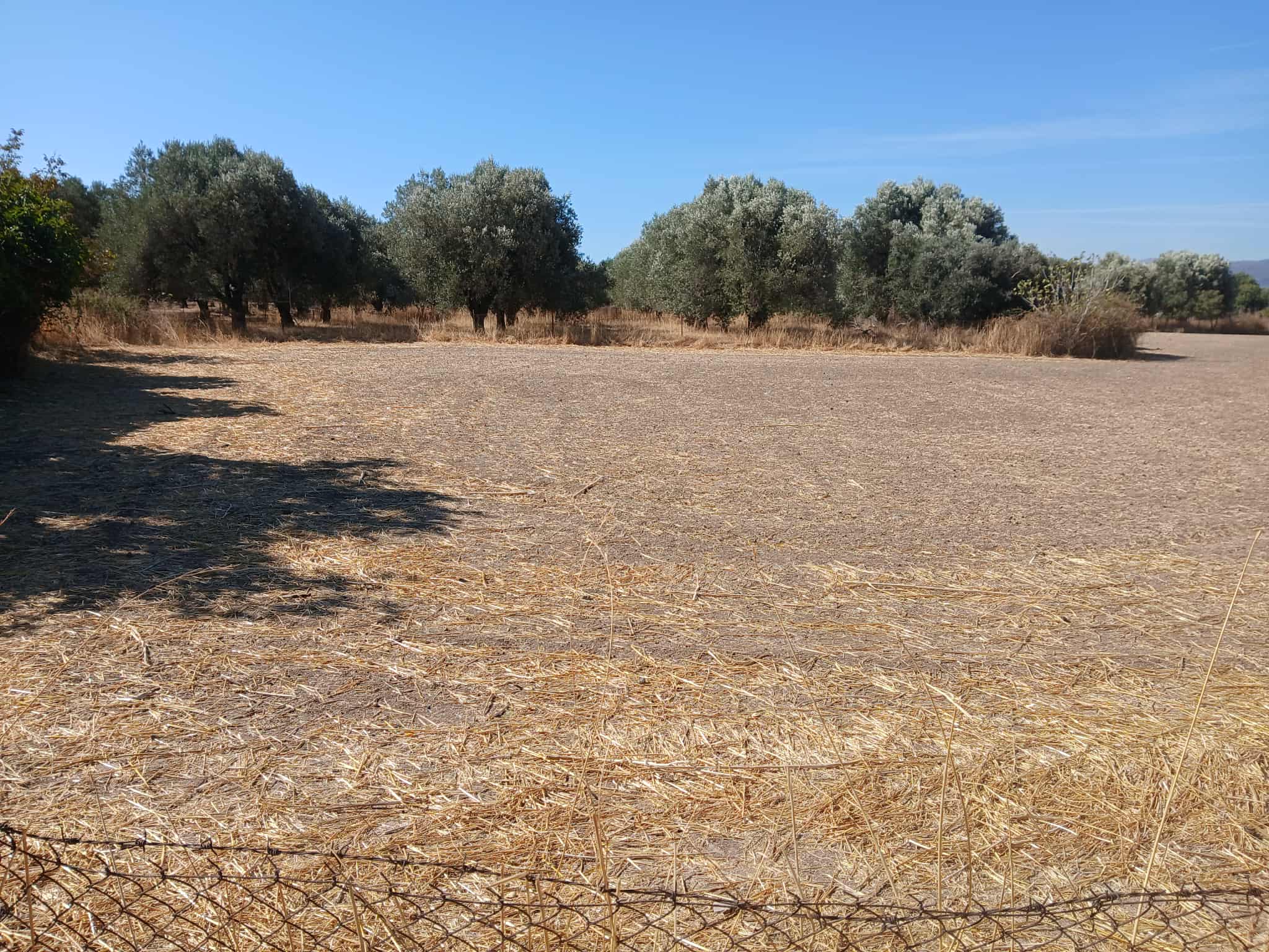 Καλλονή 811 07