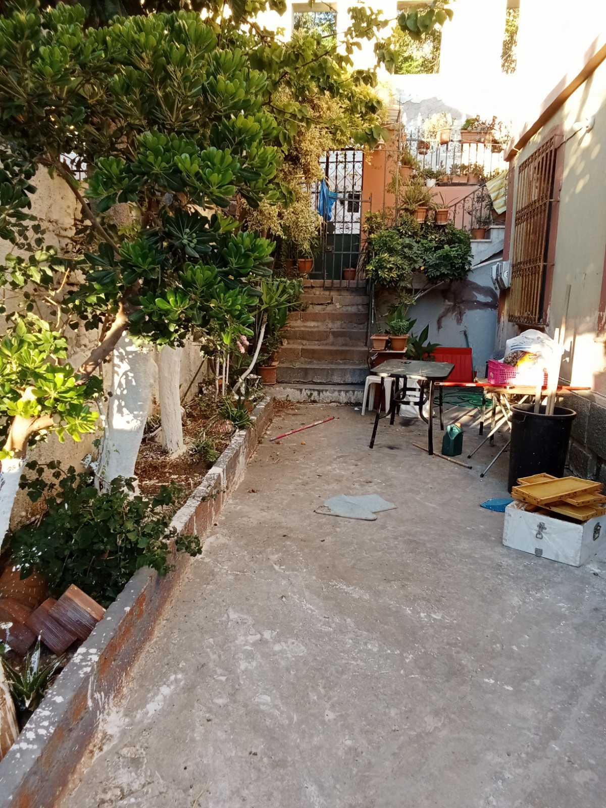 Μυτιλήνη 811 00