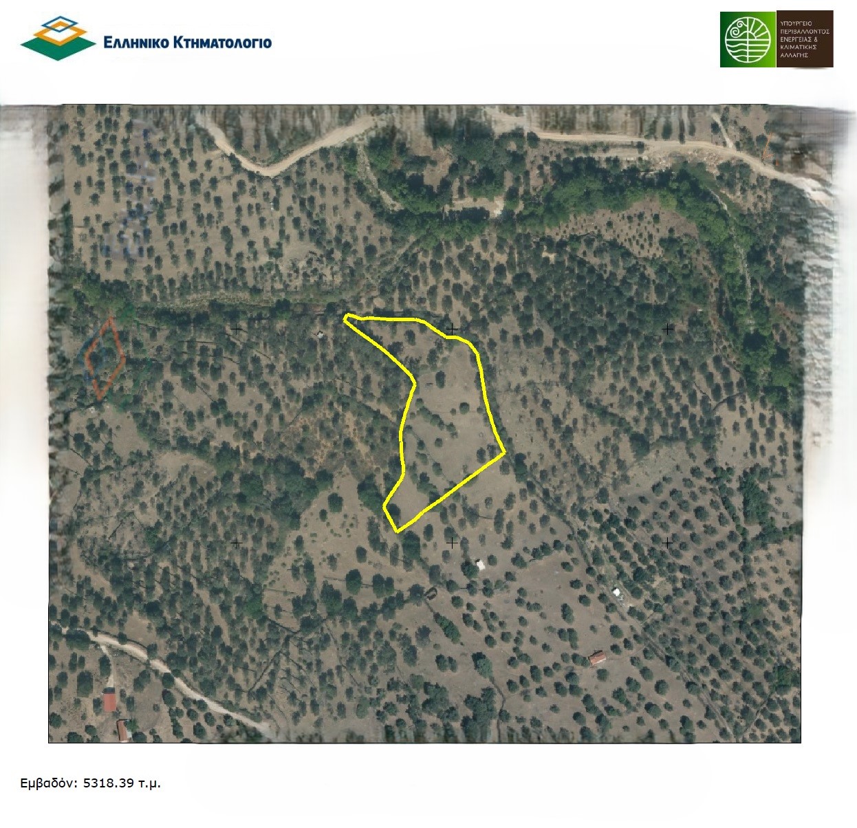 Καλλονή 811 07