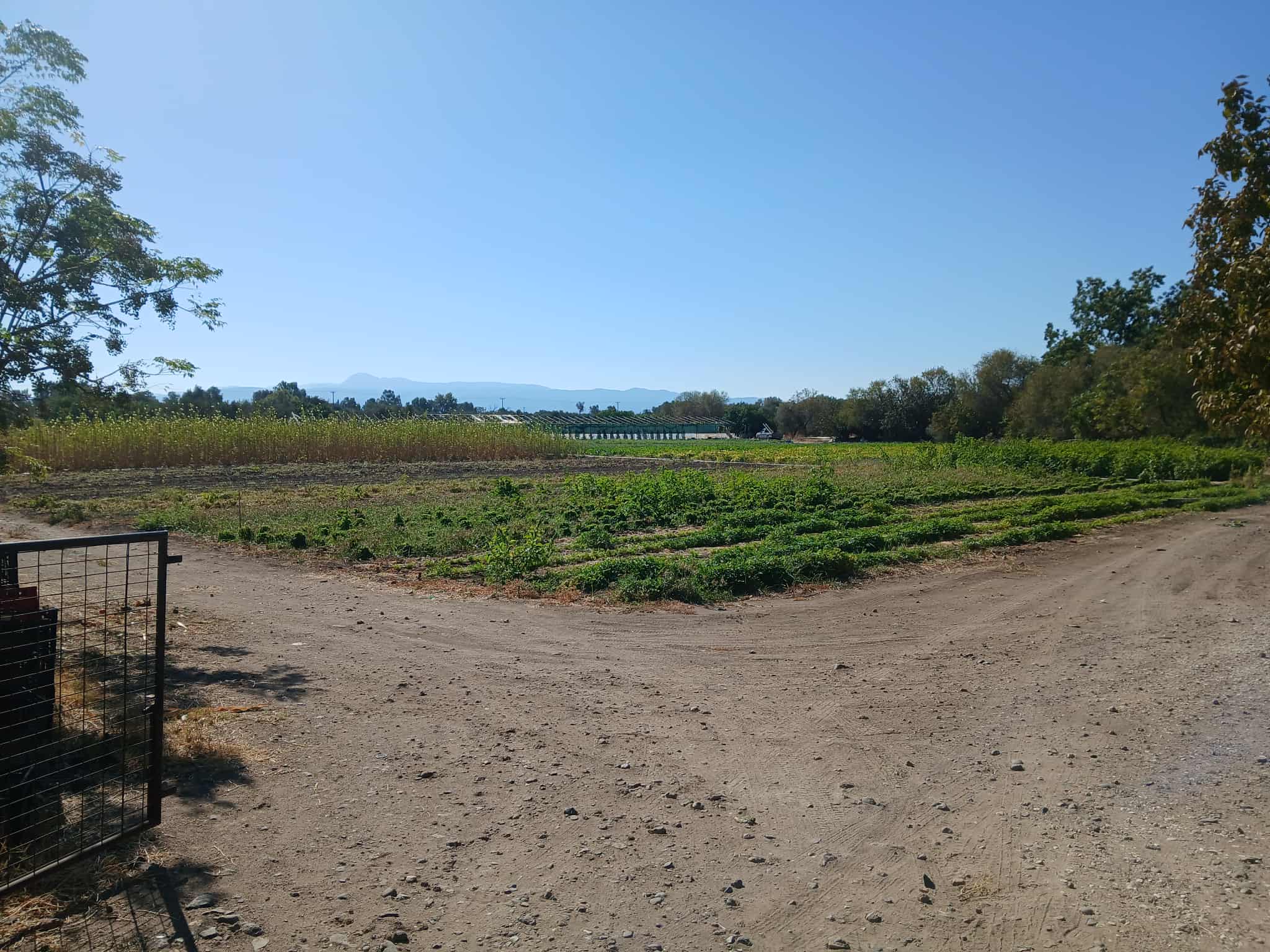 Καλλονή 811 07